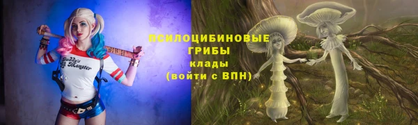 прущие крисы Новокубанск