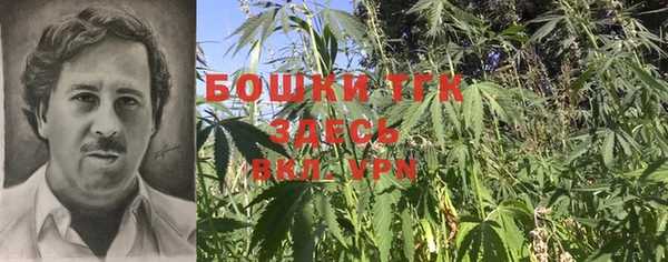 герыч Новозыбков