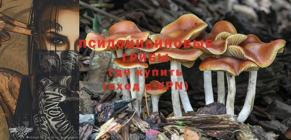 прущие крисы Новокубанск